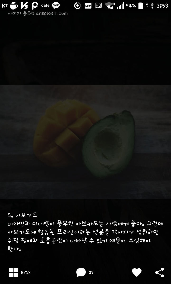 댕댕이가 먹으면 안되는 음식들 | 인스티즈