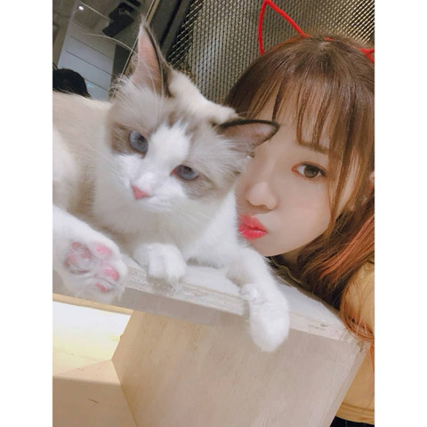 약속회 당첨되서 프로미스 나인 노지선 | 인스티즈