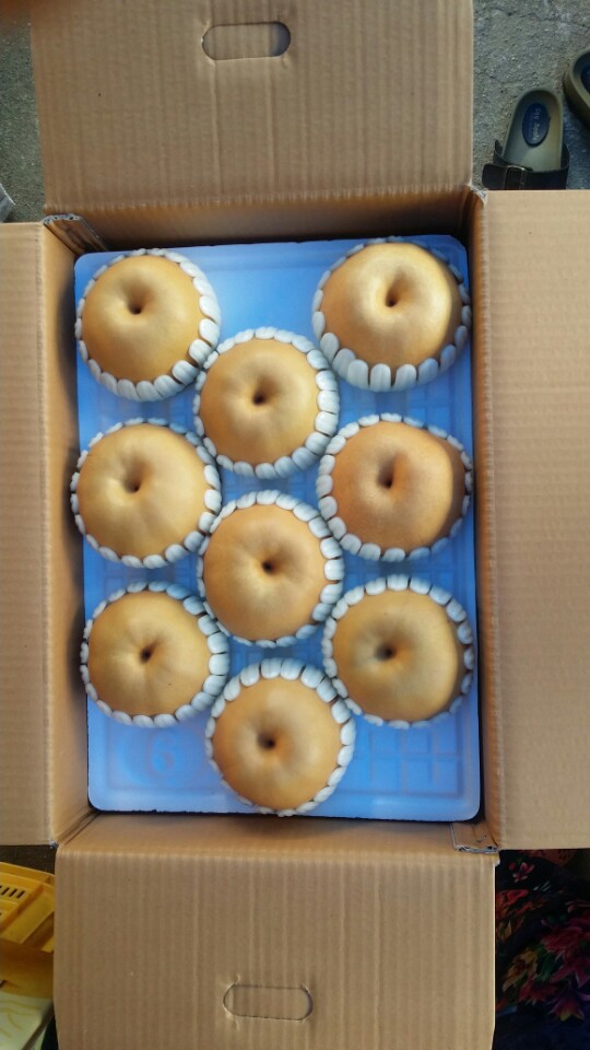 서울청과 이미지