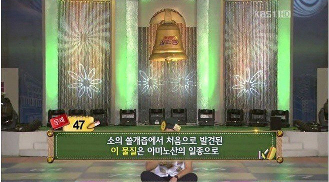 골든벨 문제 쉽네 ㅋㅋㅋㅋㅋ | 인스티즈