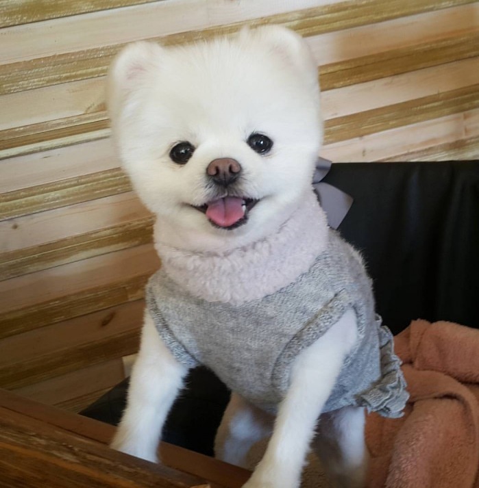 도서관에서 심쿵당한 여자 | 인스티즈