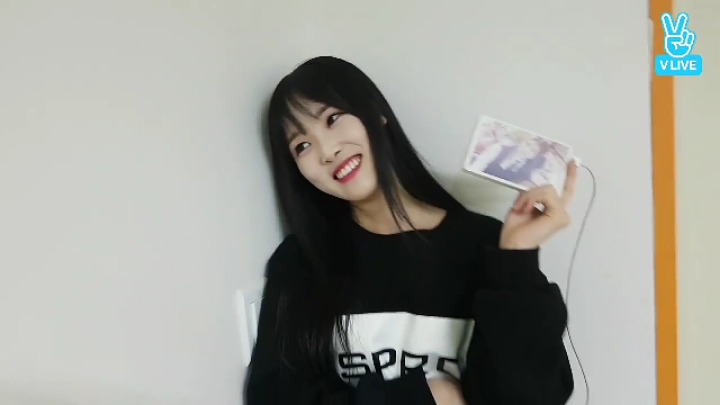 포와이비 이미지