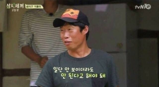 집에서 반려견이 안보일때 찾는법 | 인스티즈