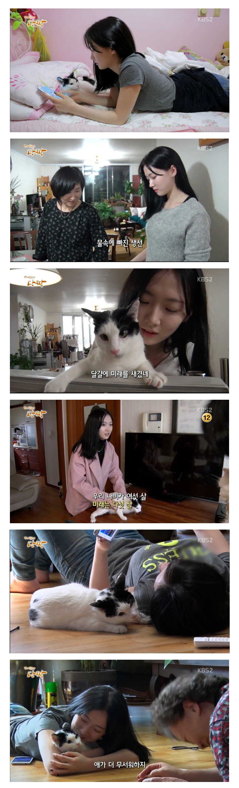 고양이보다 더 화제가 됐던 집사 | 인스티즈