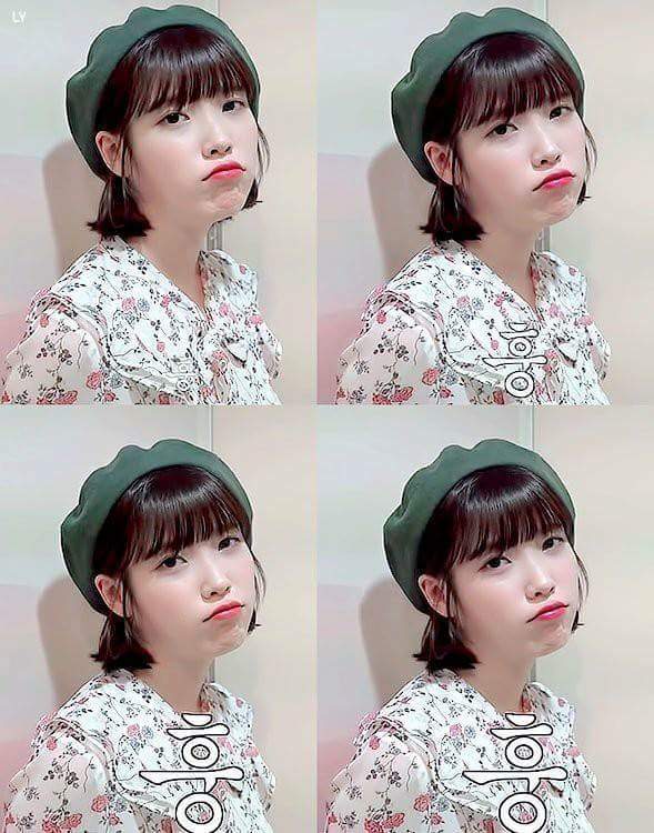 베레모쓴 아이유.jpg | 인스티즈