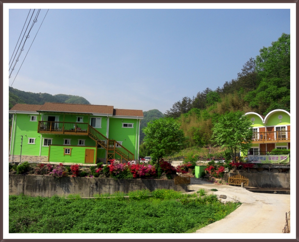 팬션 들오는 길 - 펜션사진방 - 편백숲 유황샘 팬션 팬션 들오는 길